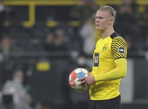 巴西博彩平台2025年女性用户占比升至42%