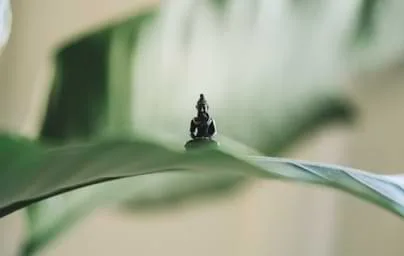 通过专业内容服务，助力您的体育事业腾飞 - 搜狐体育